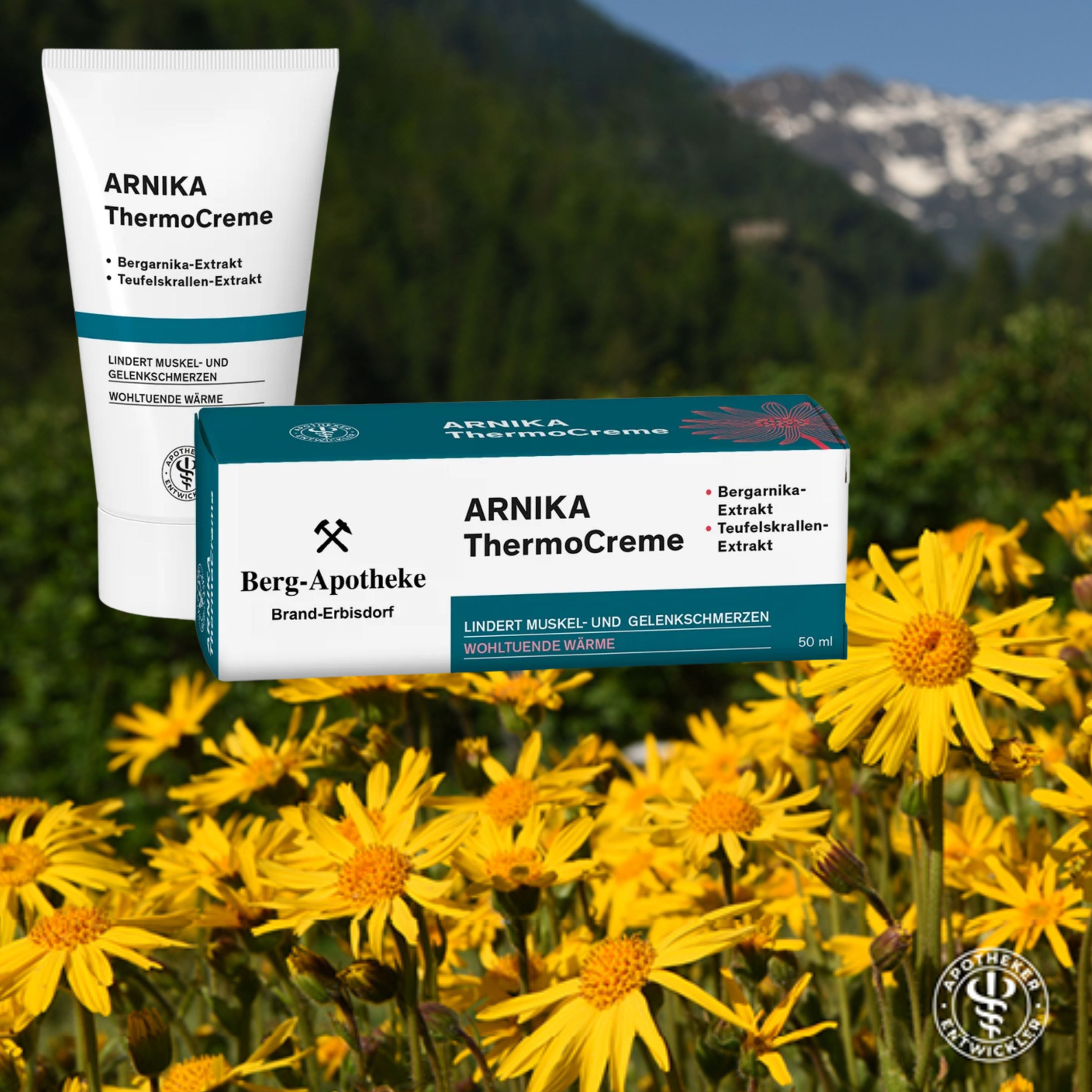 ARNIKA THERMOCREME – Wärmende Massagecreme mit Teufelskralle für Muskeln & Gelenke