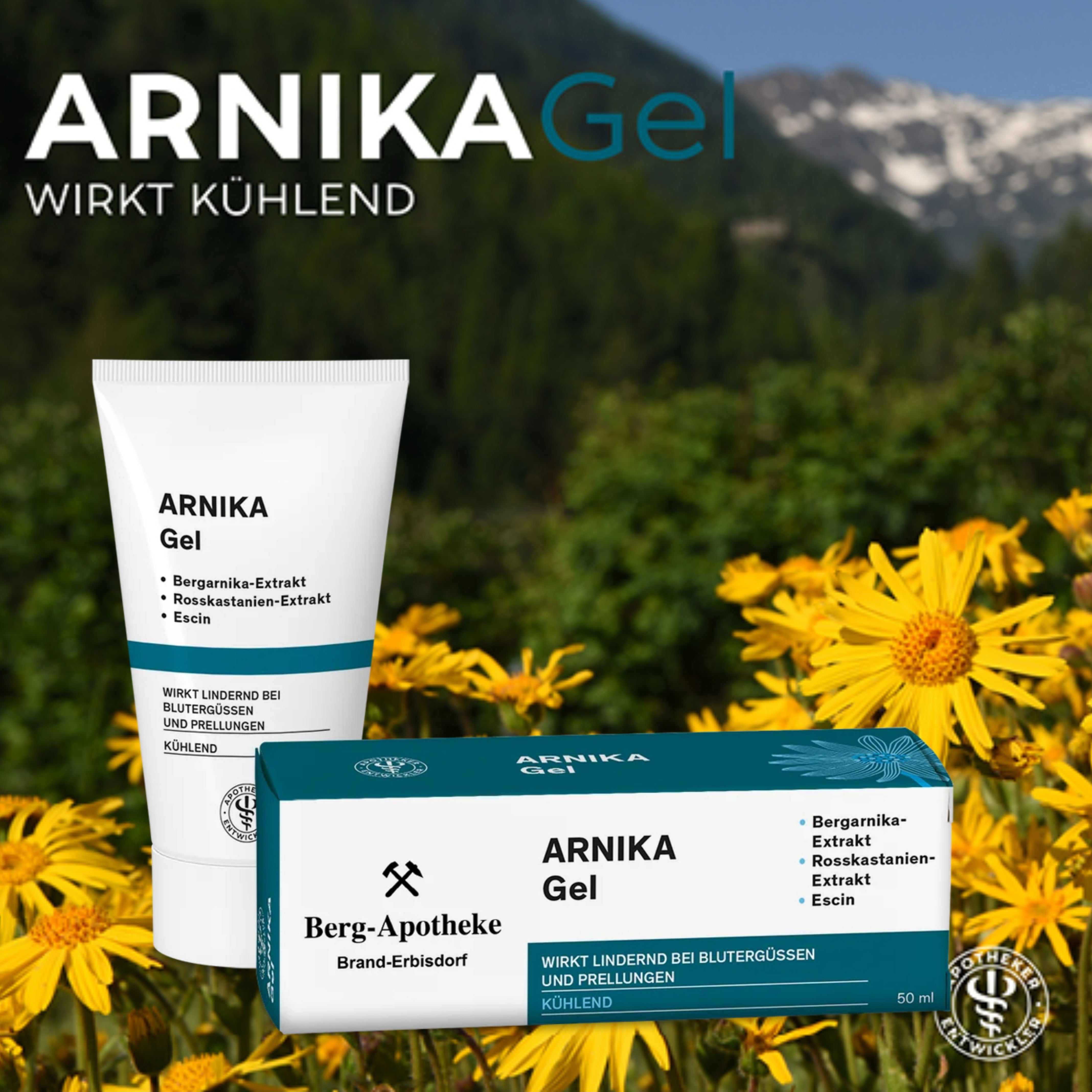ARNIKA GEL – Kühlendes Gel mit Arnika, Rosskastanie & Menthol bei Blutergüssen