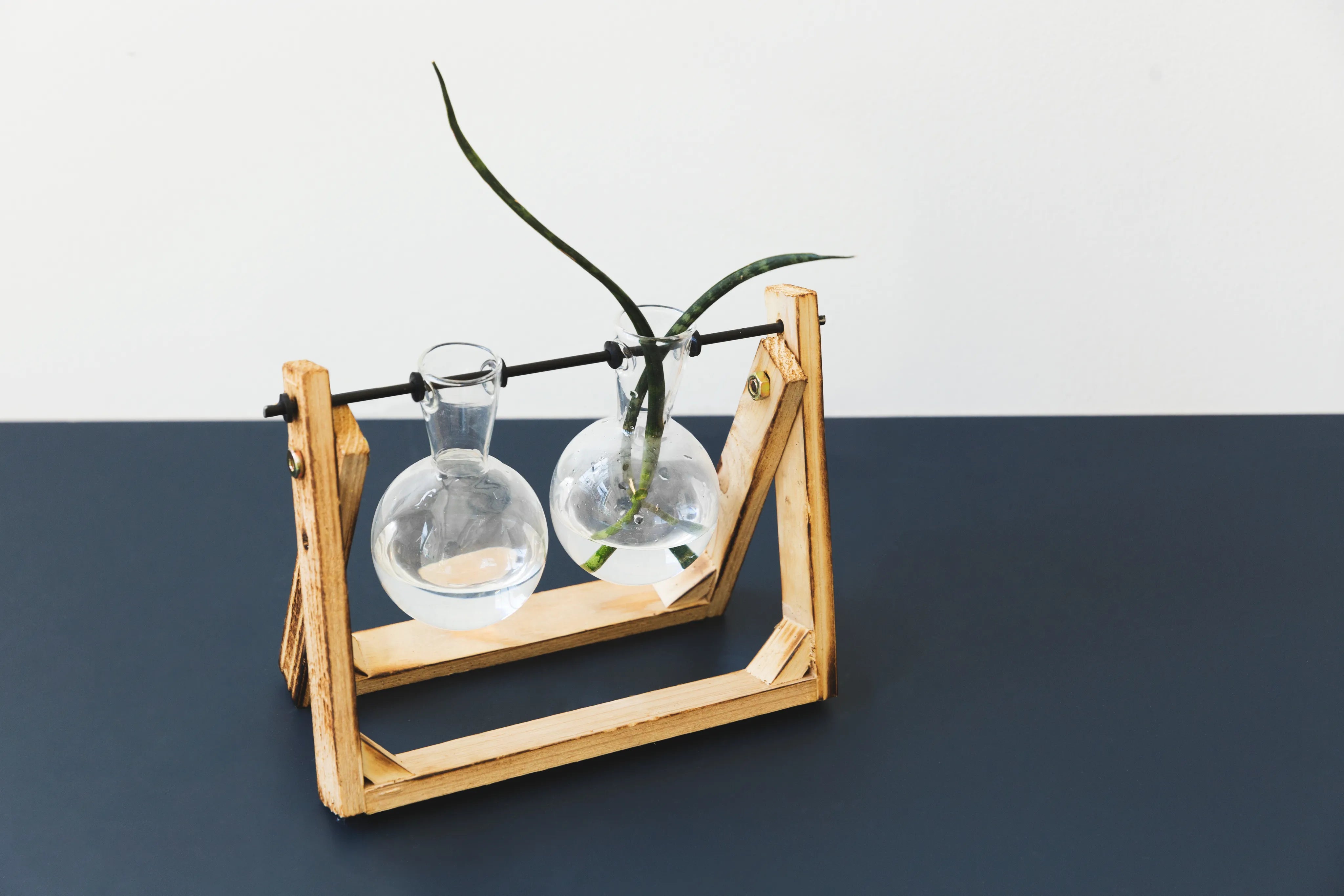 Pflanze in runder Vase, die in einem Holzgestell ist